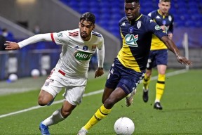 今晨体能课后，本菲卡遗憾出局备战法国杯，管理层满意，控场能力受关注的简单介绍-满冠体育链接